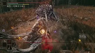 Commander Gaius No Hit Boss Fight | Elden Ring