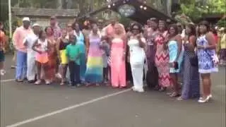 Group Hawaiian Cruise on NCL's Pride of America