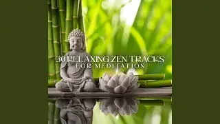 Thrilling Ambiance for Yoga Ballads