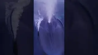 unbelieveble
