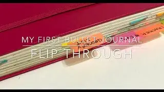 My First Bullet Journal Flip Through