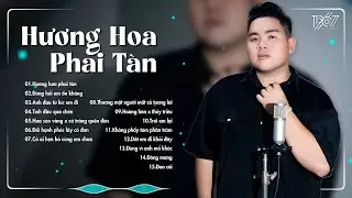 Hương Hoa Phai Tàn, Đừng Hỏi Em Ổn Không, Anh Đau Từ Lúc Em Đi Remix - BXH Nhạc Trẻ Remix Hay Nhất