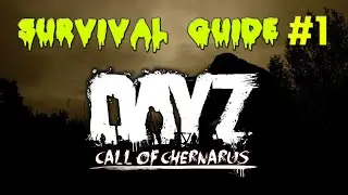 DayZ Standalone 1.07 | Call of Chernarus | guide #1