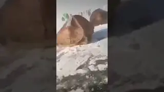 Всё равно поеду на рыбалку, спокойно порыбачу. 💪😂😂😂
