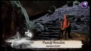 Нечисть  Видео  Единорог