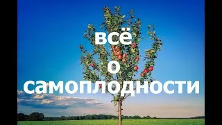 ВАЖНО! САМОПЛОДНОСТЬ плодовых деревьев! Почему цветёт и не плодоносит!