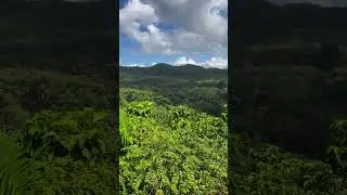 Greater Antilles | ASMR Rain - Beauty of Nature #11