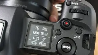 Domani VIDEO Eos R - Live