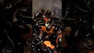 Тараканы Автомобильчики кушают хлебушек.
