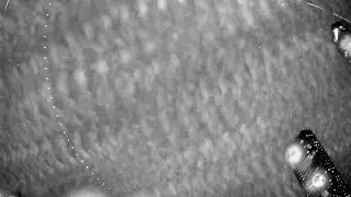 RMS BR0012 20240114 210507 516649 timelapse