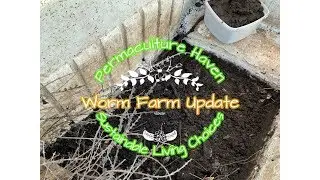 Worm Farm From An Old Fridge Update - Permaculture Haven