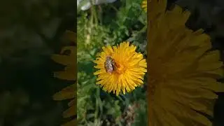 Красота майской природы 💕🌞🌿💕🌞🌿