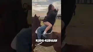 Horse riding is not that easy ferguso 