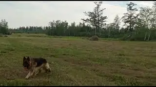 от улэтэ Уус Таатта 2022(1)