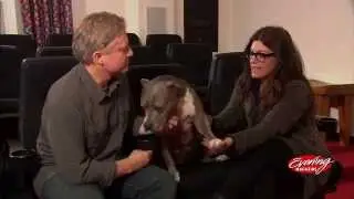 Evening Magazine - Stand Up For Pits