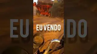 dia normal da roça 