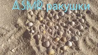 ASMR ракушки