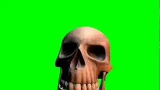 skull  3d model  animation  s01r01.avi green screen
