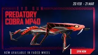 FIRST TOP UP AND SPINNER COBRA GANE SCREEN