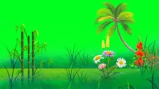Green Screen Video Green Screen Green Status effect full HD background video green screen