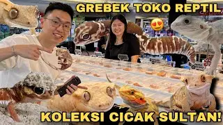 GREBEK TOKO REPTIL KOLEKSI CICAK, KADAL, DAN ULAR TERLENGKAP DI PAMERAN HEWAN DALAM MALL!