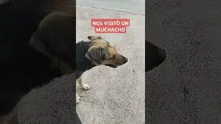Nos visitó un MUCHACHO PELUDO!