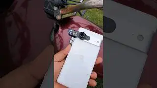 Google Pixel 7 Photography With P500 Super Extreme Macro Lens 