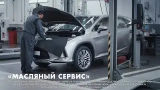 Масляный сервис. Программма для Lexus старше 4х лет