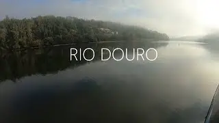 Rio Douro | Subida por barco | Barragem Crestuma
