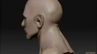 HumanHead