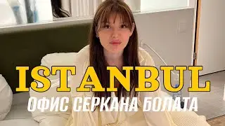 Стамбул / офис Серкана Болата / подкатил турок / золотой стейк