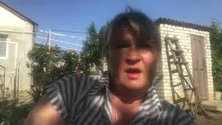 7 июня 2020 г.