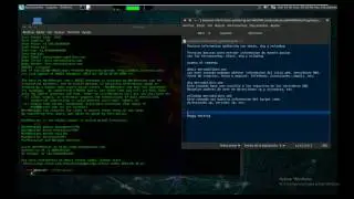 Passive information gathering con whois, dig y nslookup - Parrot Security OS