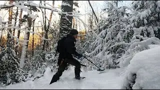 Что можно найти в лесу под снегом!?