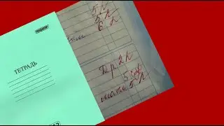 ДОМАШКА  БЕСПОЛЕЗНА