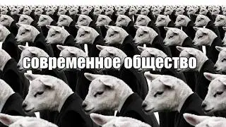 современное общество