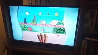 Bee Pollination Practice WR 