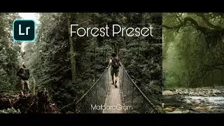 Lightroom photo editing tutorial| dark green tone preset download free 
