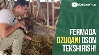 FERMADA OZUQANI OSON TEKSHIRISH!