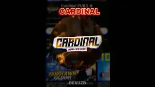 QAYSI PUBGER OBUNACHISI KO'P? 2-qism #pubgmobile #yakudzapubgm #cardinal #notultra