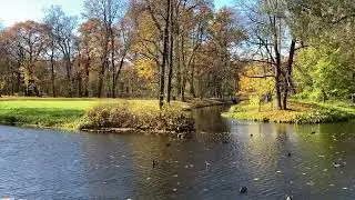 Царское Село