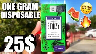 THE STIIIZY ONE GRAM DISPOSABLE… | Cheap Carts #99