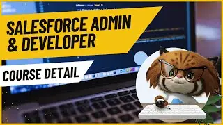 Salesforce Admin & Developer Full Course - 2024 