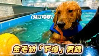 【成長記錄】1.3歲毛毛15分鐘學會游泳實錄🌊