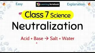 Class 7 Neutralization