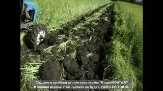 запахиваю горчицу на сидераты