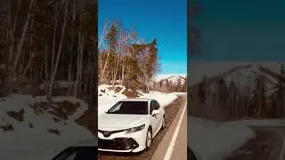 Разрешите вас сфотографировать?🙂
