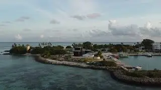 Island Dream Song: A Melody of Paradise