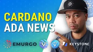 Latest Cardano ADA News, 30th Aug 2024
