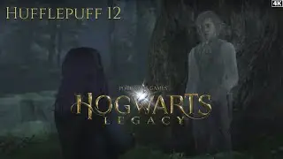 Hogwarts Legacy Gameplay - Part 12 | Hufflepuff | No Commentary | 4K